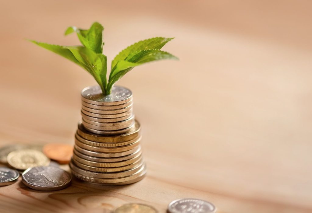 A stack of coins with a plant growing from out the top of the stack representing a Passive Income Opportunity.